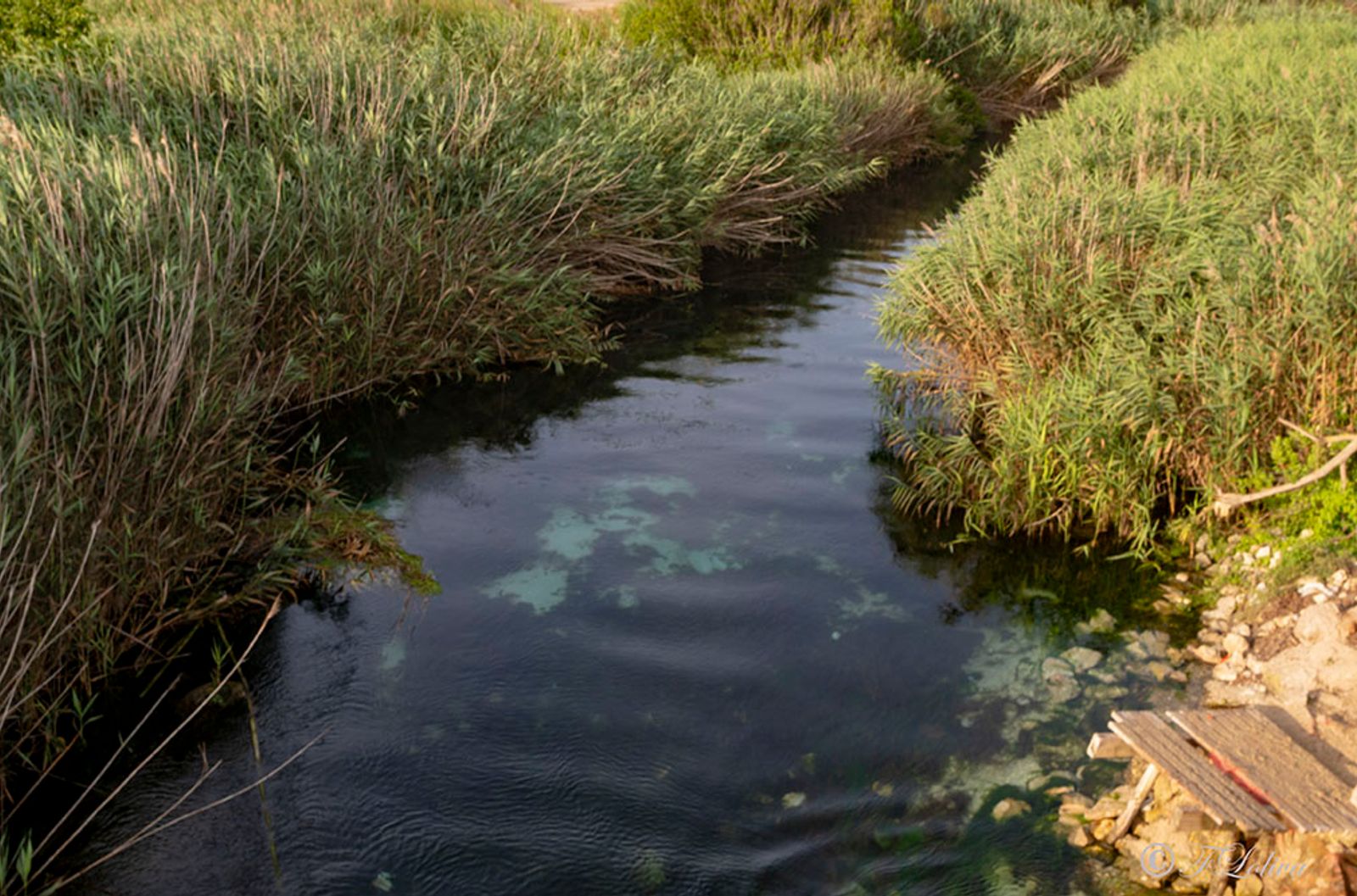 FIUME CHIDRO Il Chidro è il fiume più importante del Salento, dopo il fiume Ostone che scorre nell'intero territorio di…