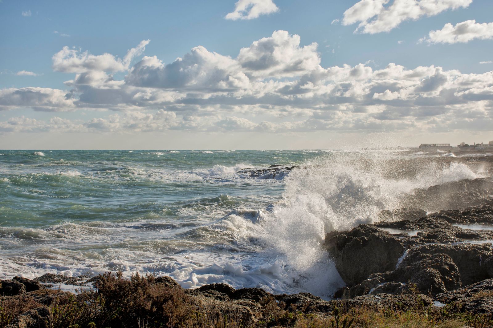Il maestrale — fotografia 7 di Francesco Loliva