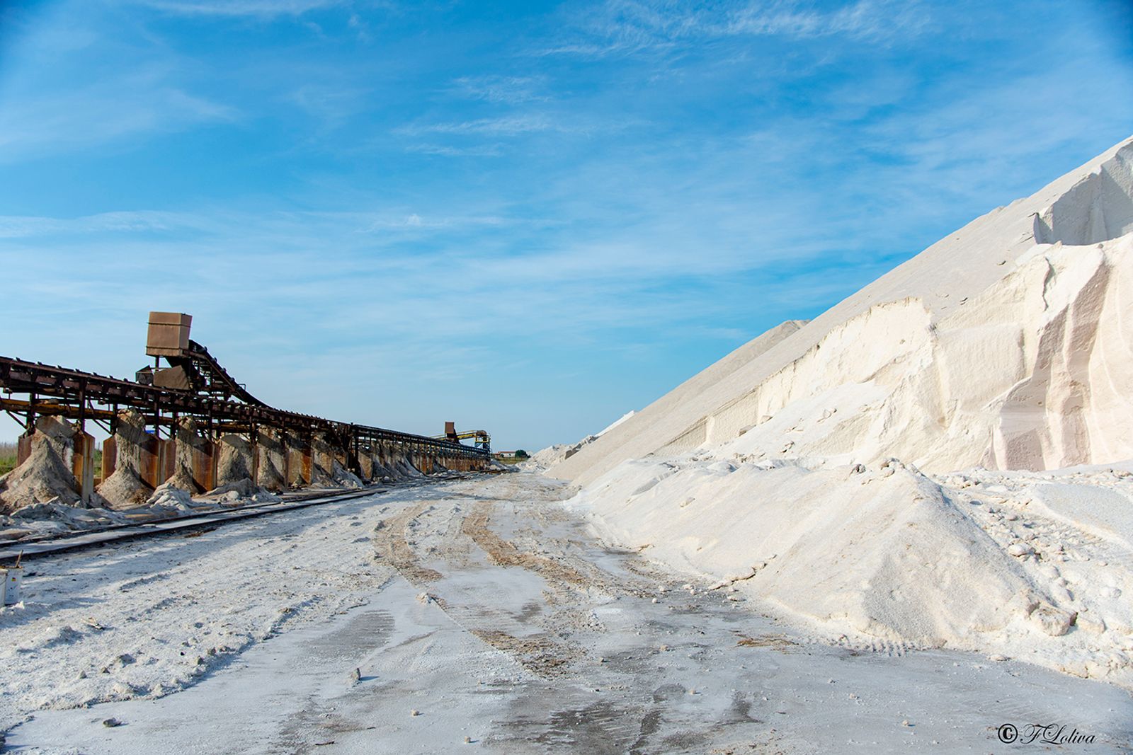 SALINE-MARGHERITA DI SAVOIA