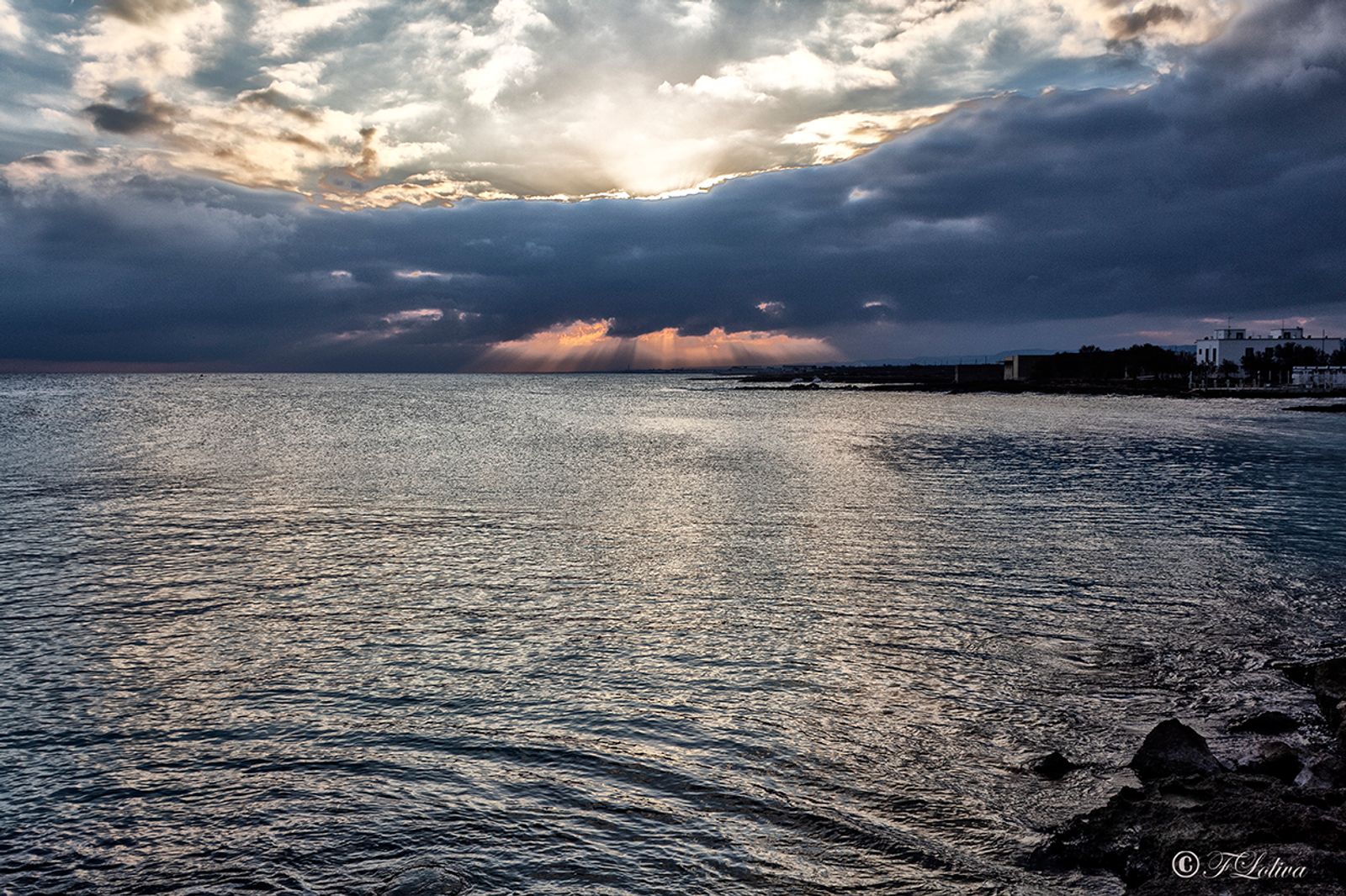 Dopo l'alba — fotografia 3 di Francesco Loliva