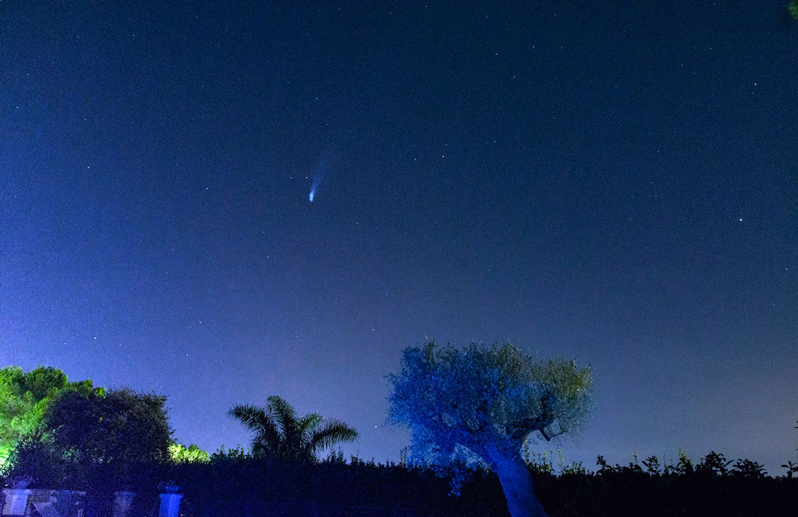 La cometa Neowise — fotografia 4 di Francesco Loliva
