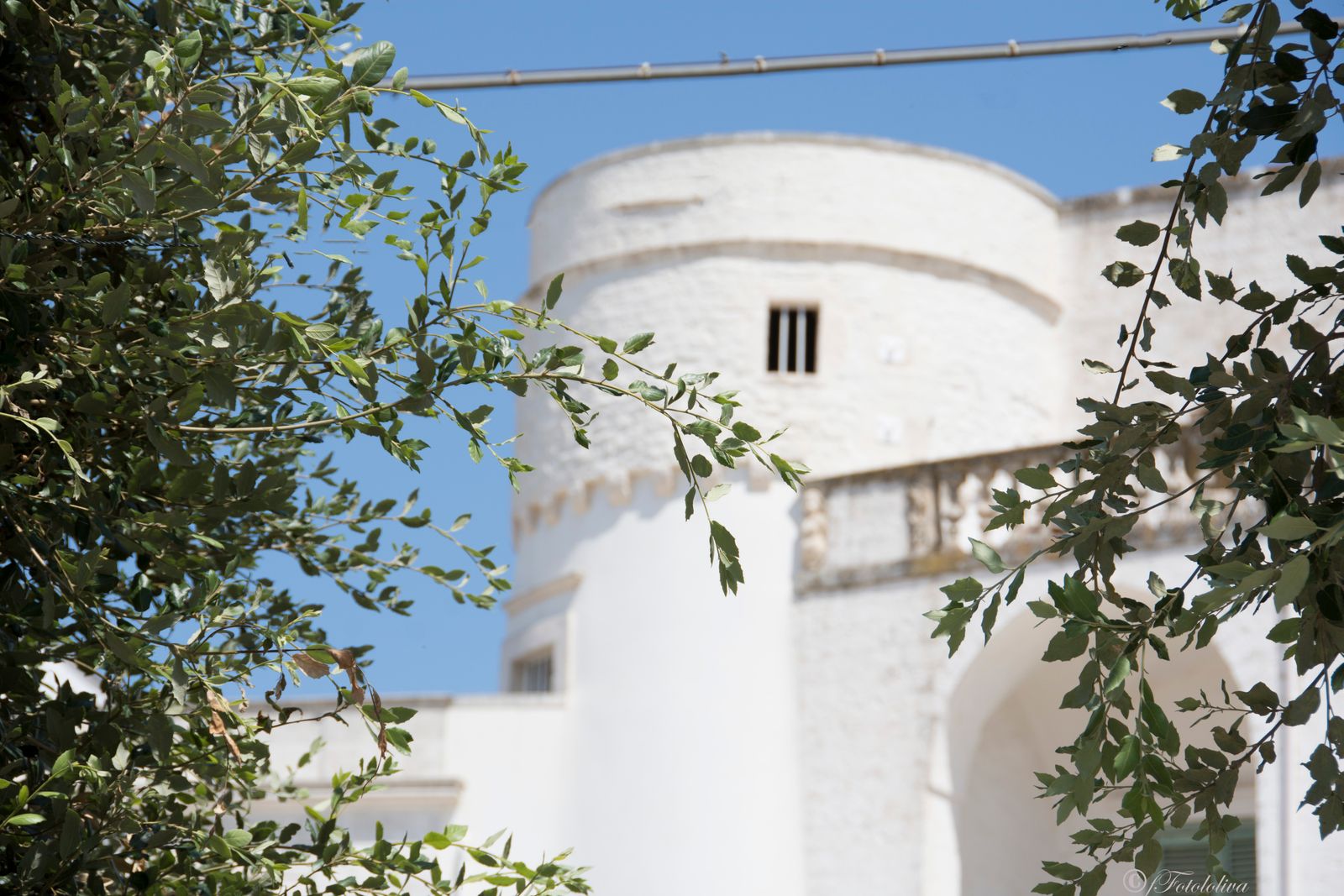 CISTERNINO (BR) — fotografia 5 di Francesco Loliva