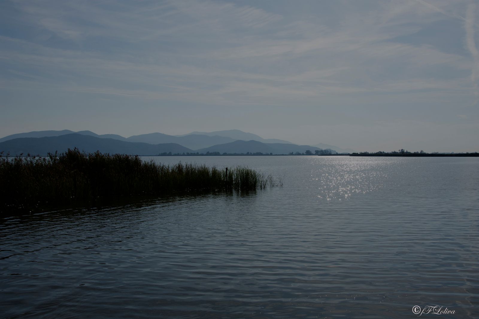 LAGO DI MASSACIUCCOLI — fotografia 3 di Francesco Loliva