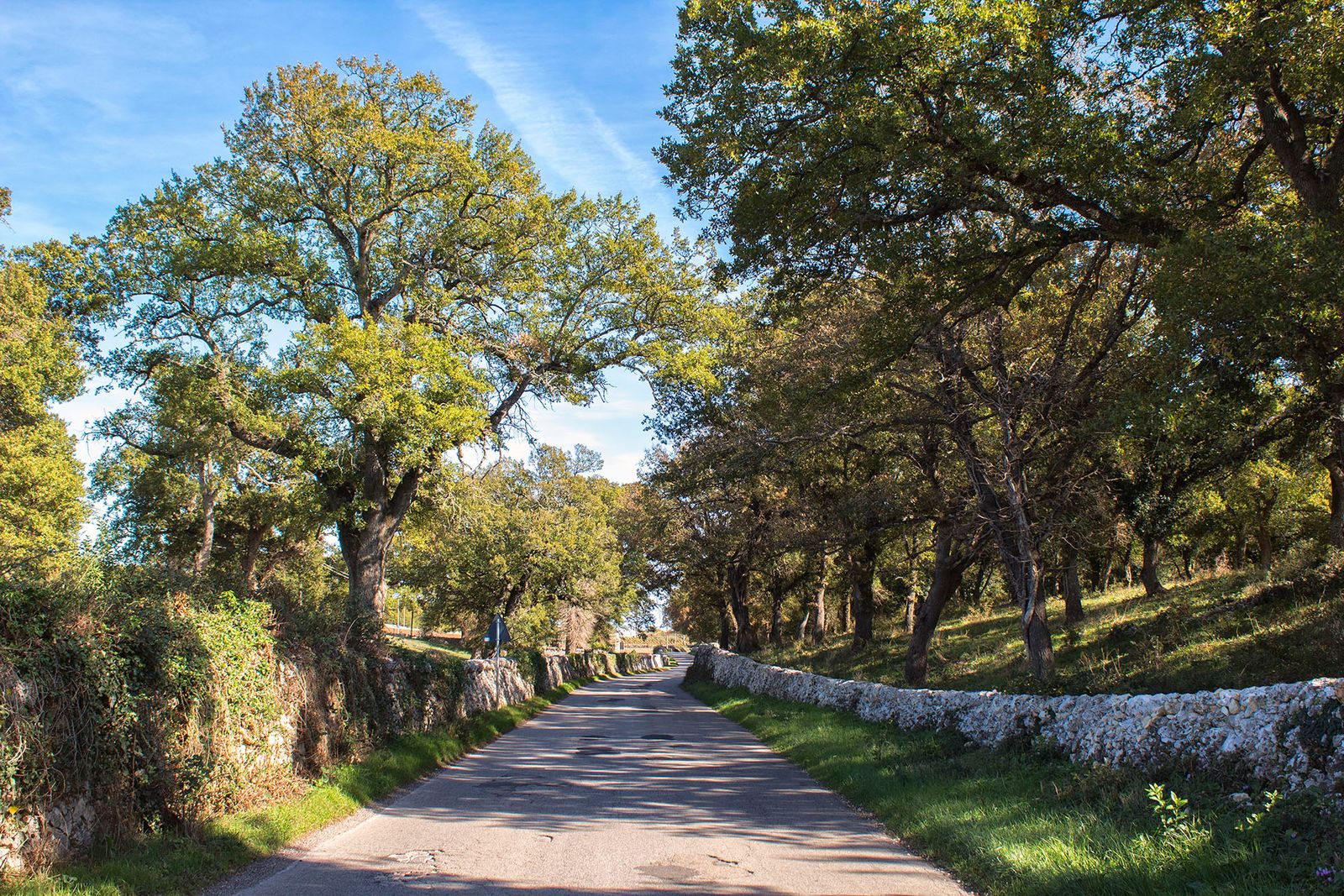 STRADA DI CAMPAGNA#2