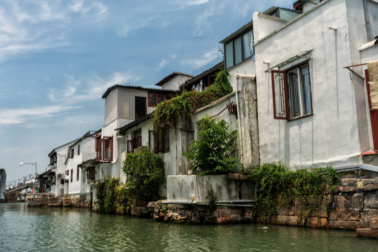 VIAGGIO A SHANGAI 2024 — fotografia 147 di Francesco Loliva