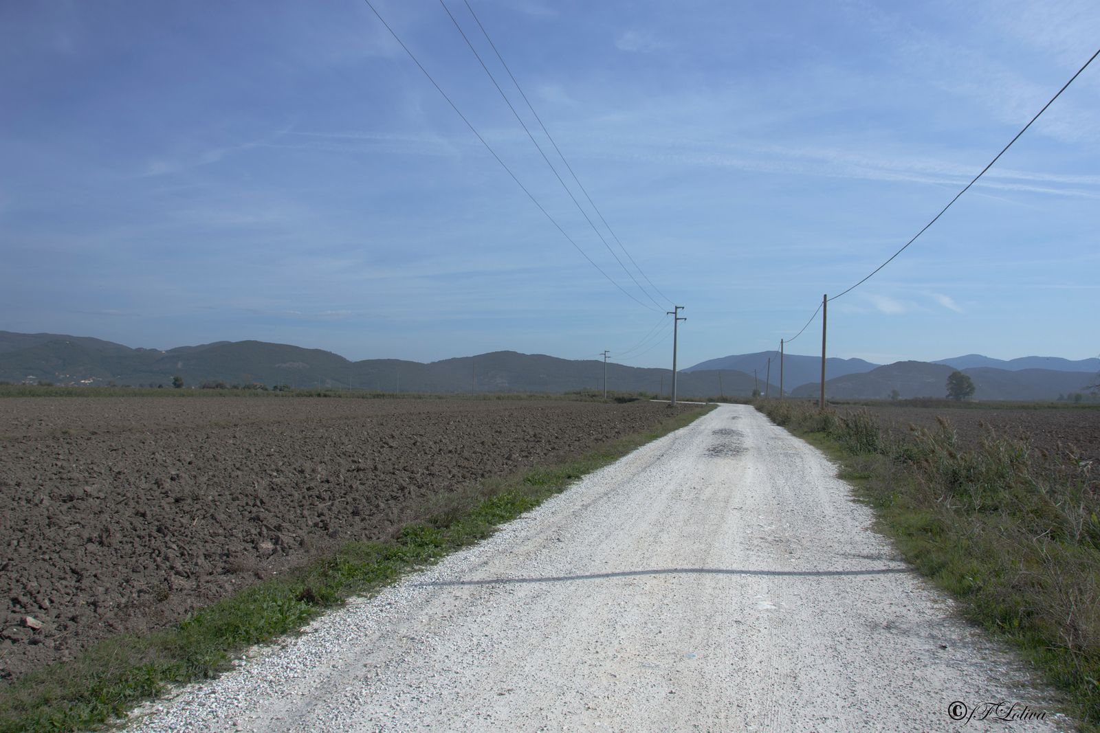 LAGO DI MASSACIUCCOLI — fotografia 14 di Francesco Loliva