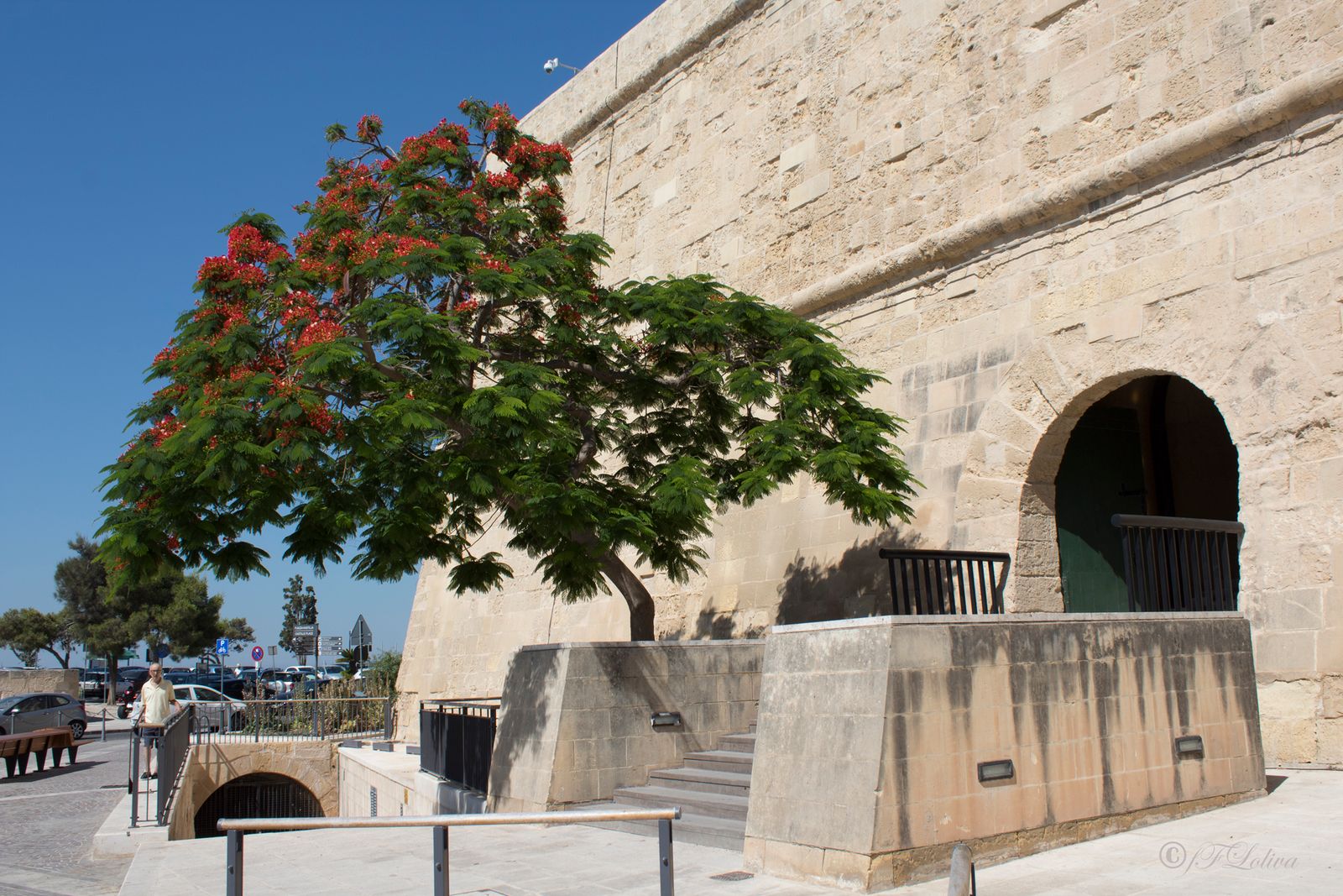 MALTA — fotografia 12 di Francesco Loliva