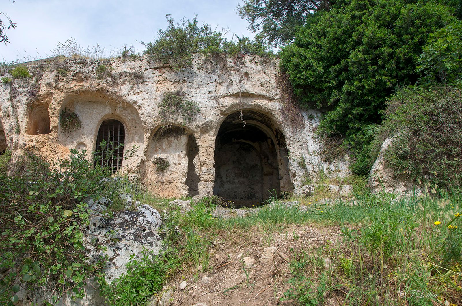 LAMA D'ANTICO - FASANO — fotografia 3 di Francesco Loliva