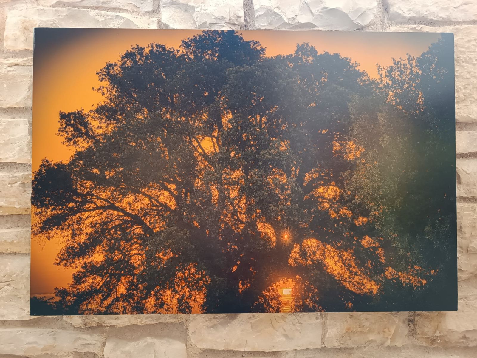 POETIC EYE REALITYAND MEMORY - BITONTO 2025 — fotografia 8 di Francesco Loliva