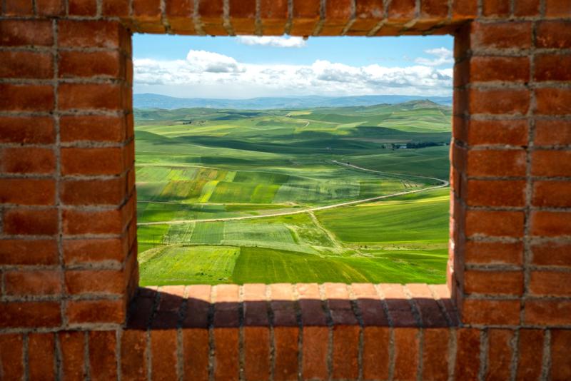ALTA MURGIA - I COLORI DELLA NATURA IN PRIMAVERA — fotografia di Francesco Loliva