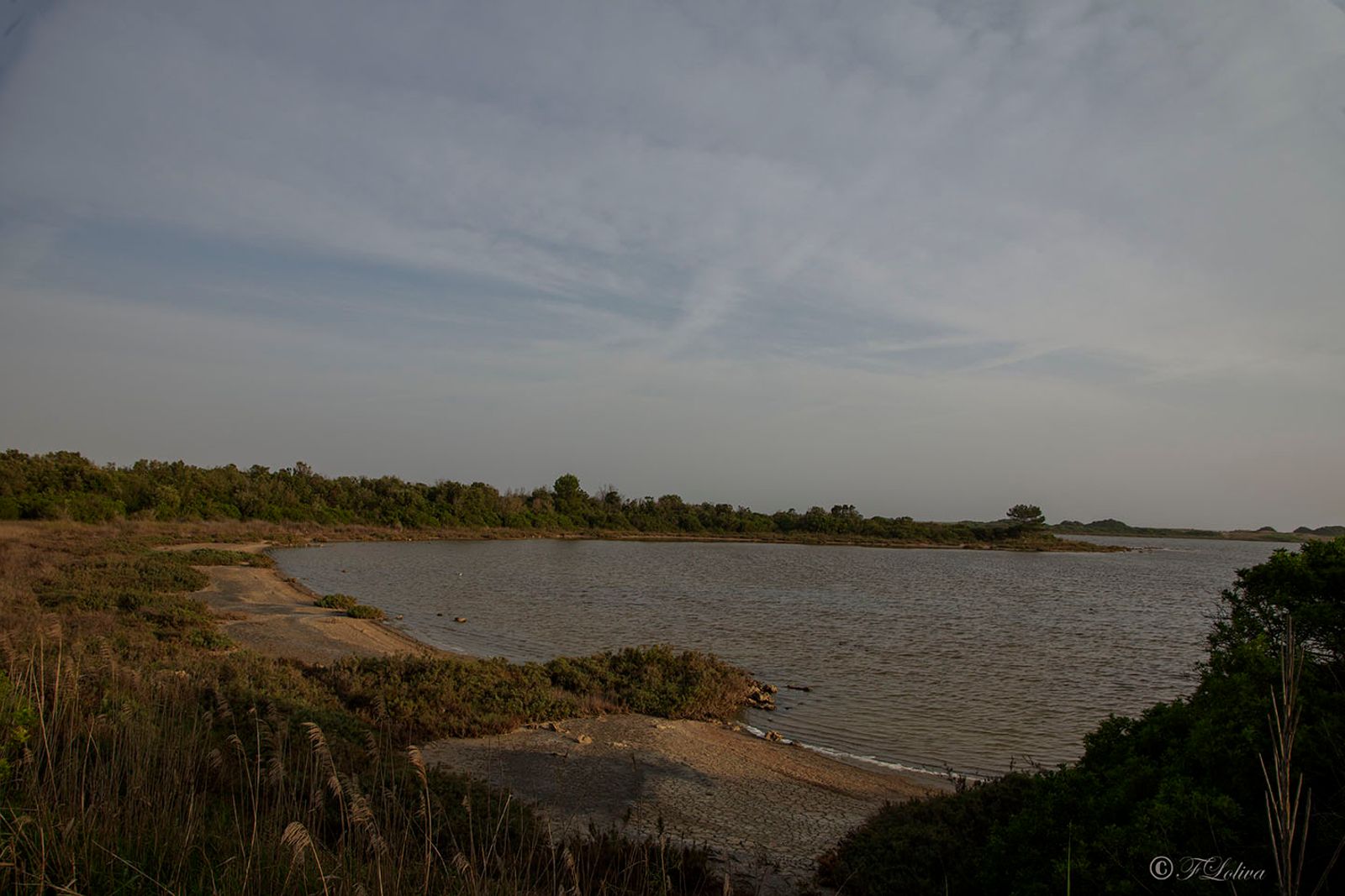 TORRE COLIMENA — fotografia 15 di Francesco Loliva