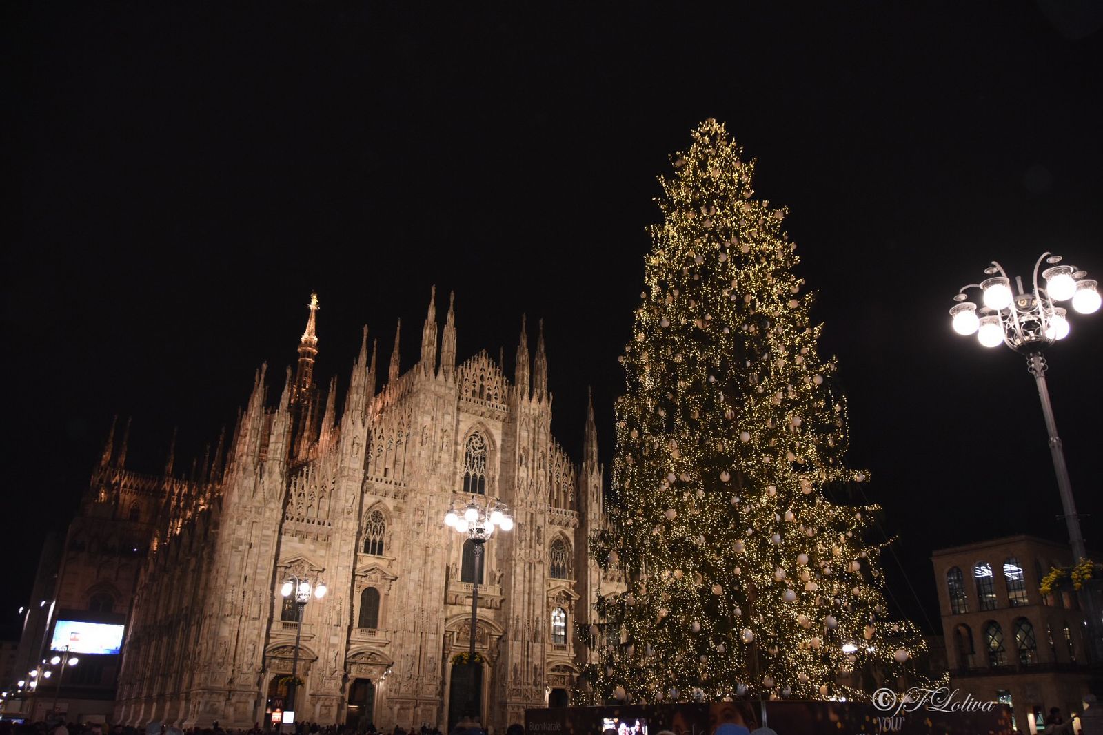 NATALE A MILANO TRA LUCI ED OMBRE — fotografia 3 di Francesco Loliva