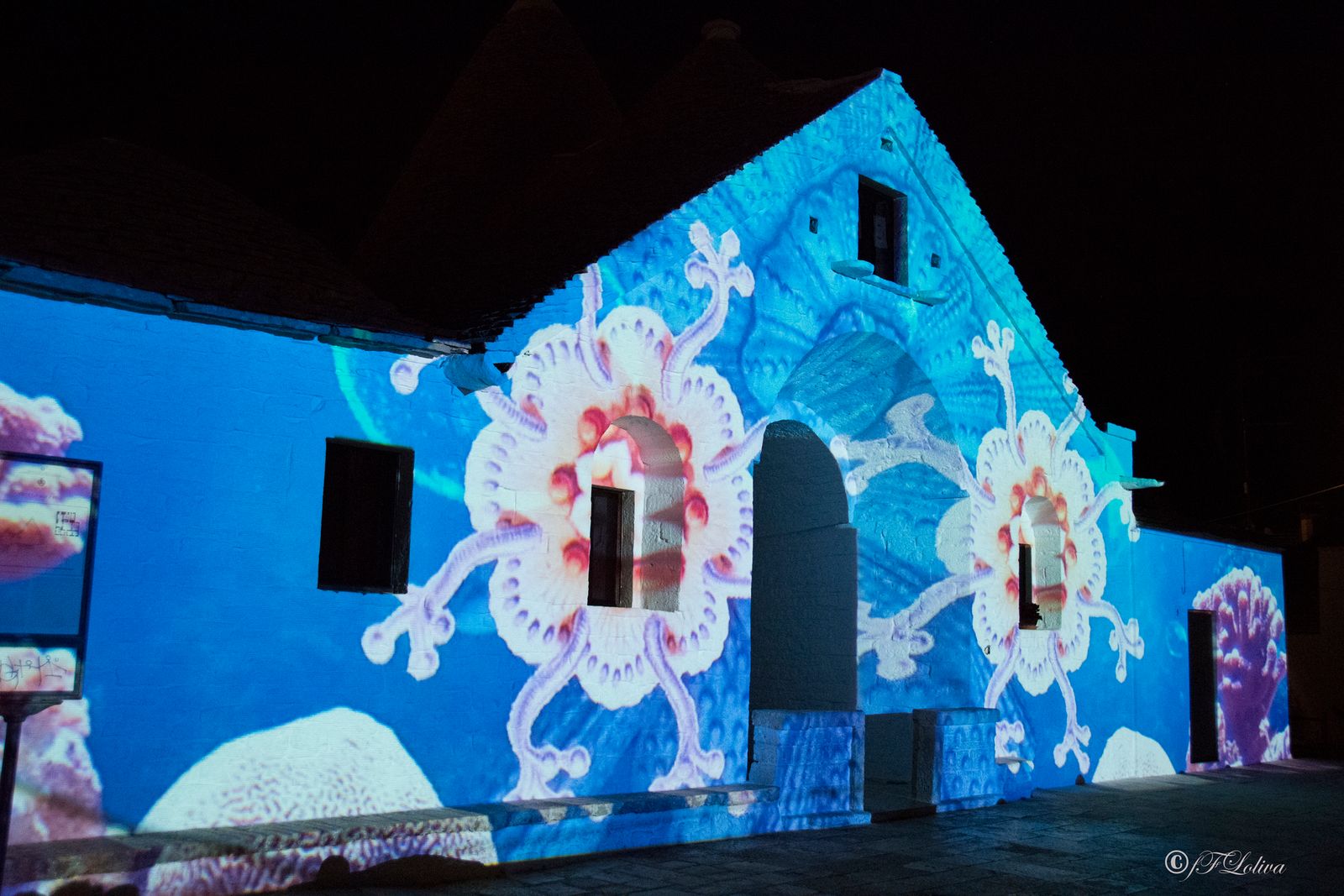 LIGHTFESTIVAL ALBEROBELLO — fotografia 13 di Francesco Loliva