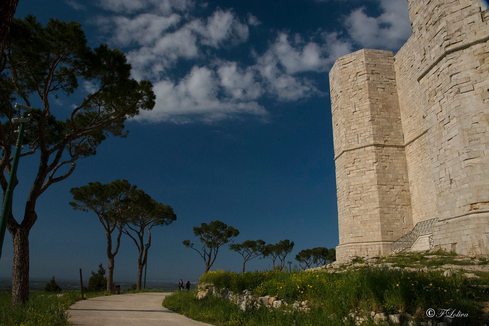 PUGLIA IMPERIALE — fotografia 8 di Francesco Loliva