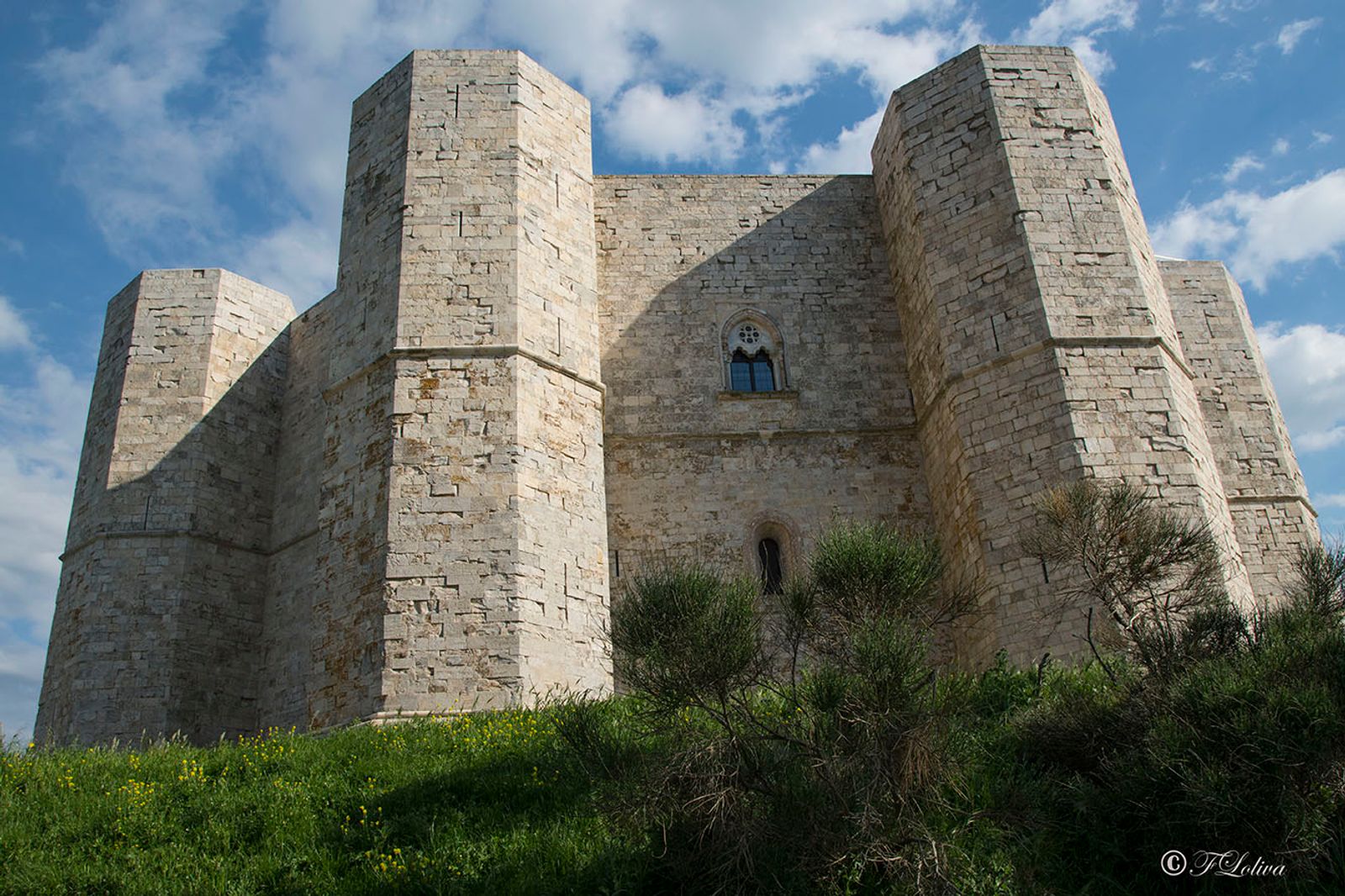 PUGLIA IMPERIALE — fotografia 10 di Francesco Loliva