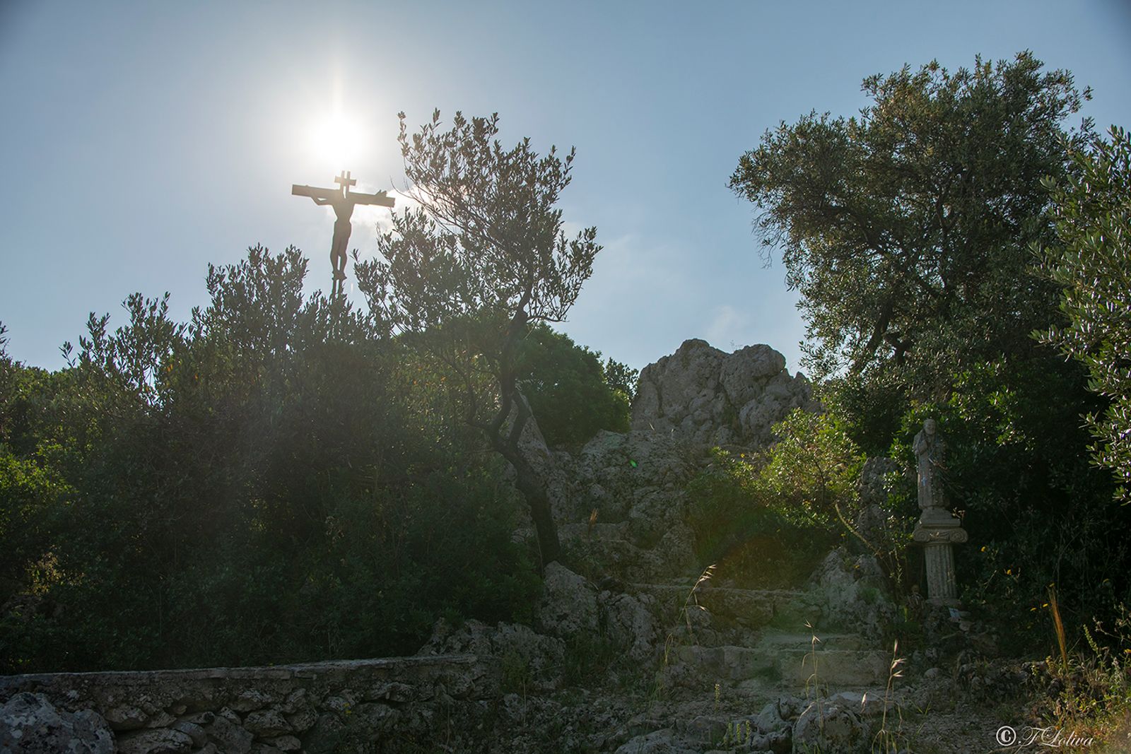 LA PIANA DEGLI ULIVI — fotografia 6 di Francesco Loliva