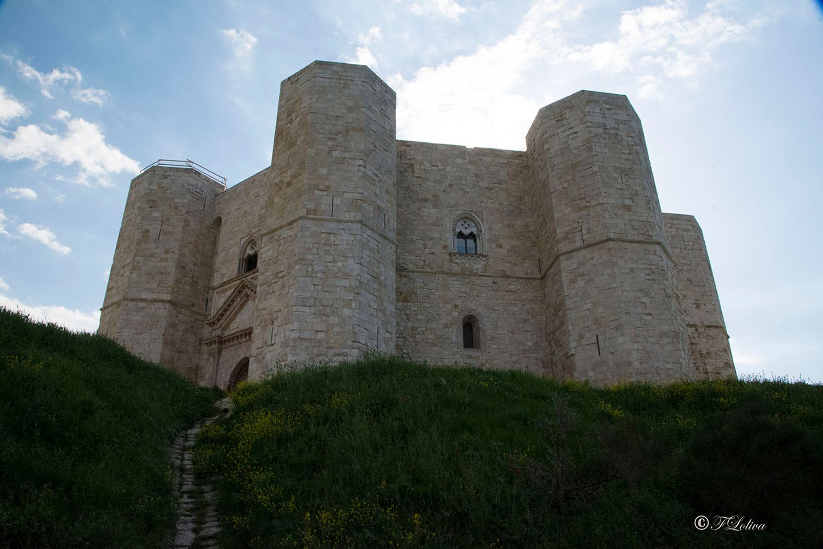 PUGLIA IMPERIALE — fotografia 11 di Francesco Loliva
