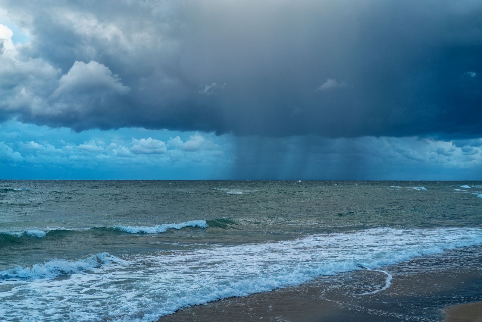 MARE MOSSO#1