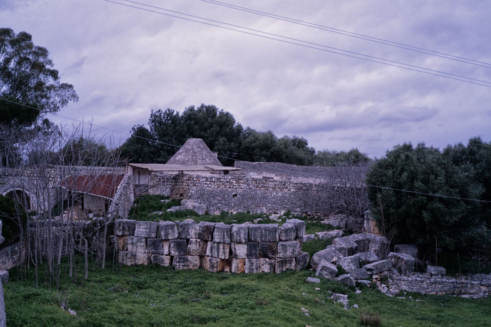 UNA VECCHIA MASSERIA PUGLIESE — fotografia 12 di Francesco Loliva