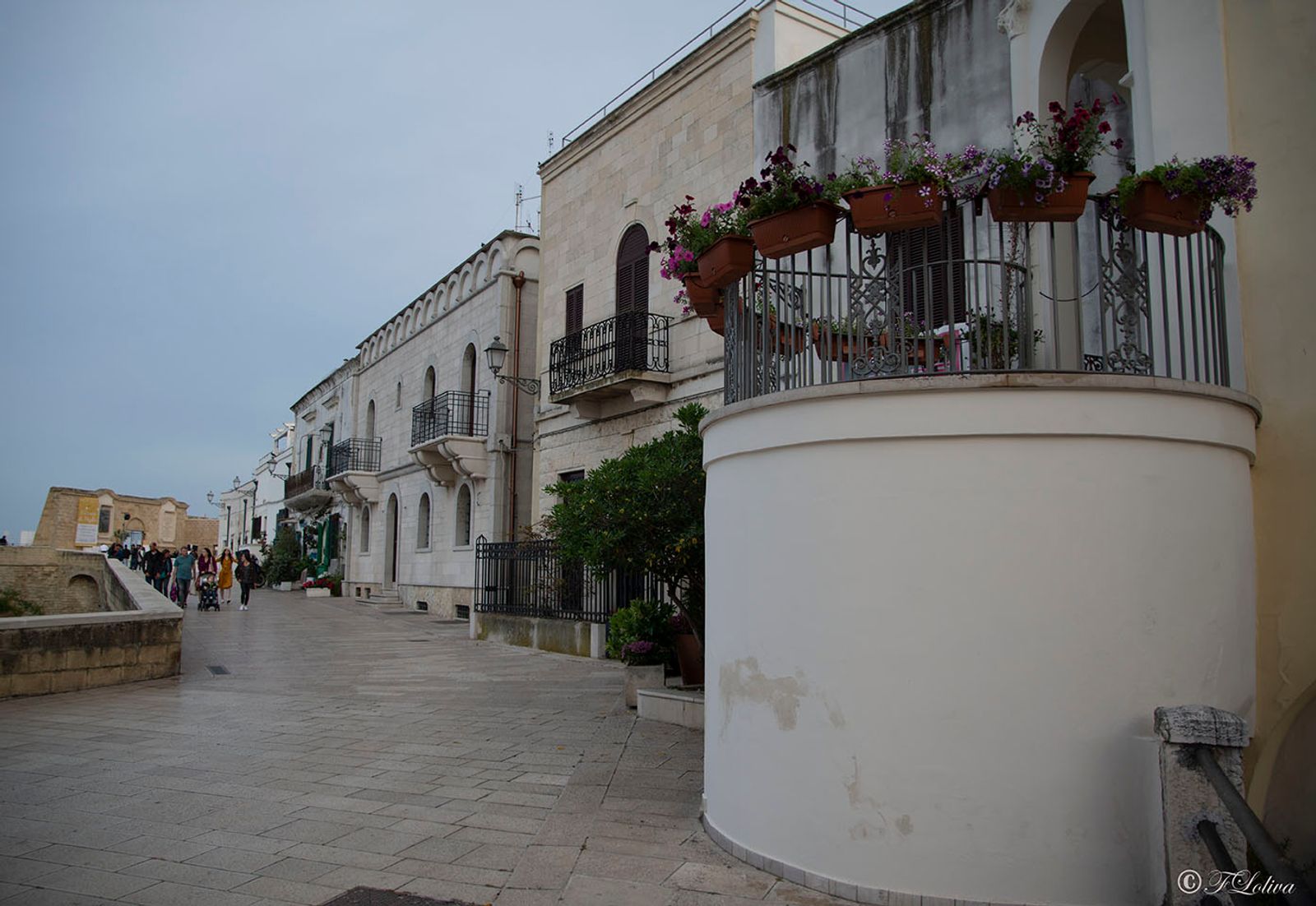 i bastioni circondano la BARI VECCHIA con fossato e torri