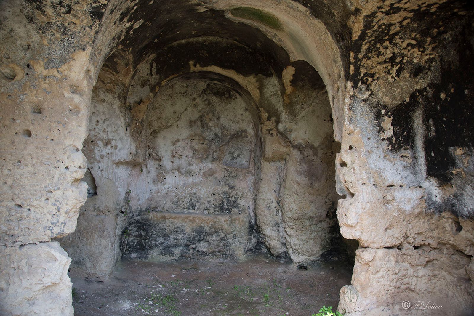 LAMA D'ANTICO - FASANO — fotografia 12 di Francesco Loliva