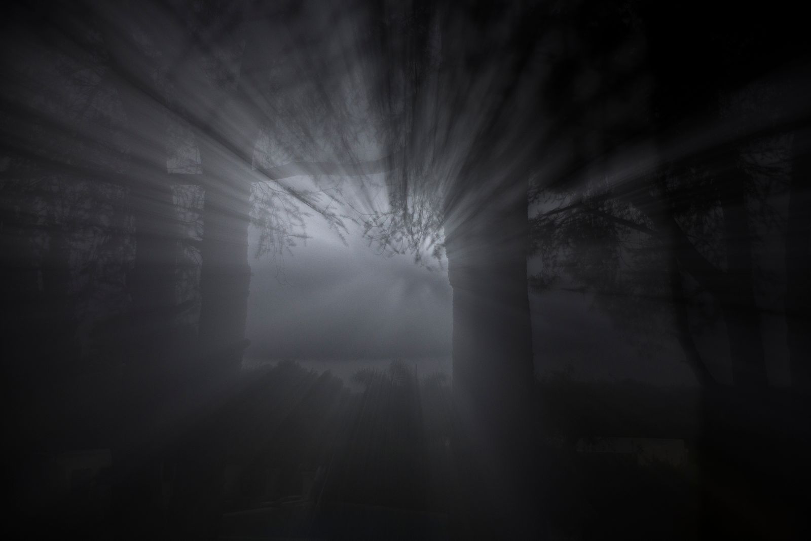 ARTE LISBONA 2019 Premio Vasco da Gama 11/18 Maggio — fotografia 4 di Francesco Loliva