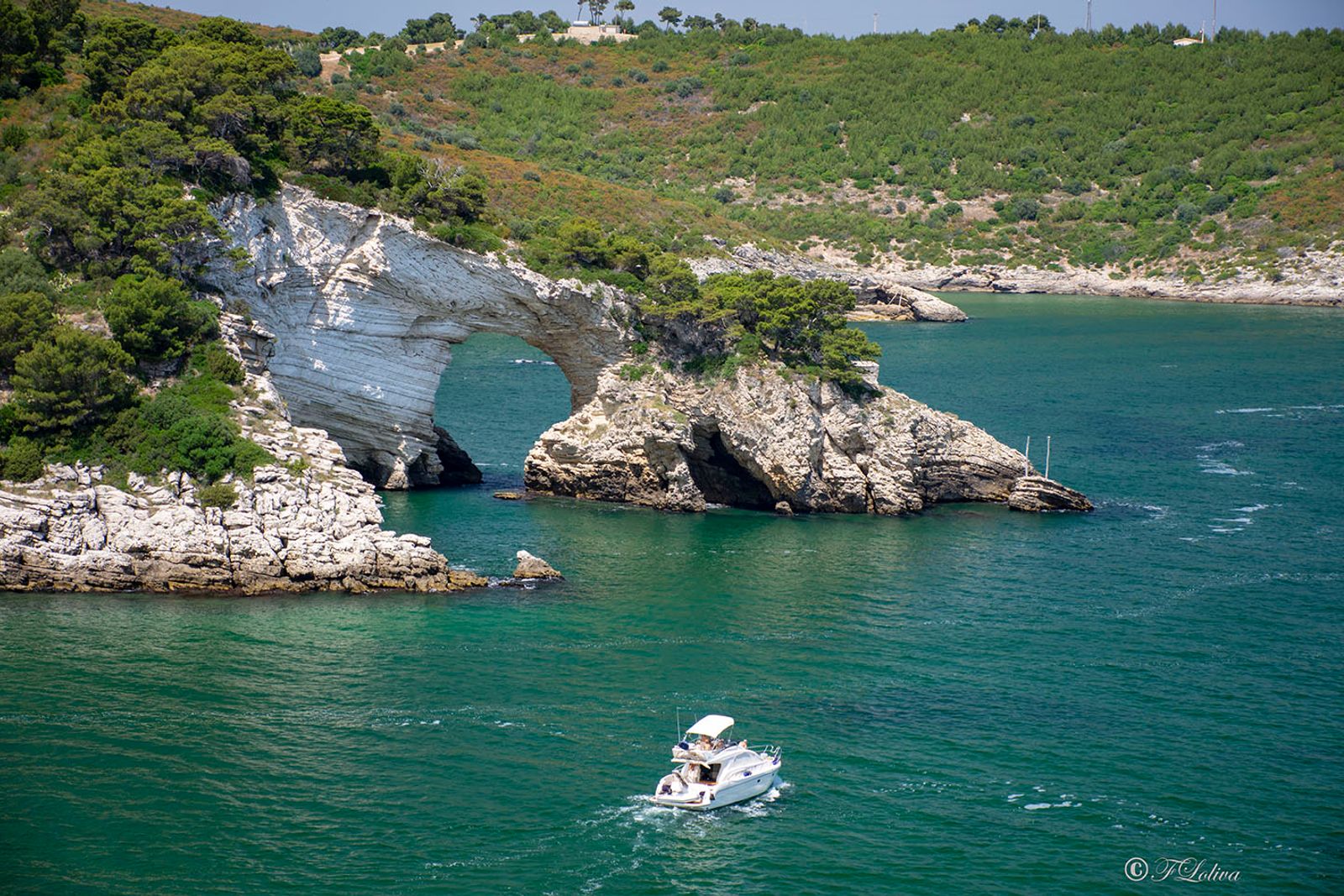 VIESTE - PESCHICI — fotografia 34 di Francesco Loliva
