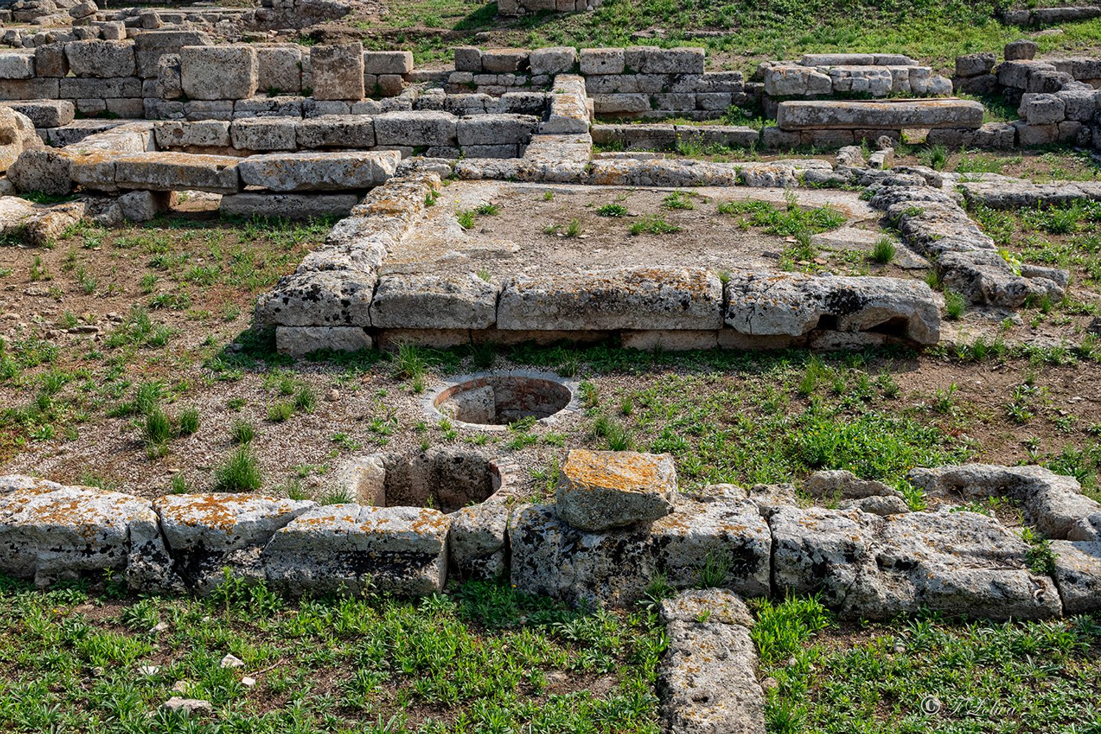 PARCO ARCHEOLOGICO DI EGNAZIA — fotografia 18 di Francesco Loliva