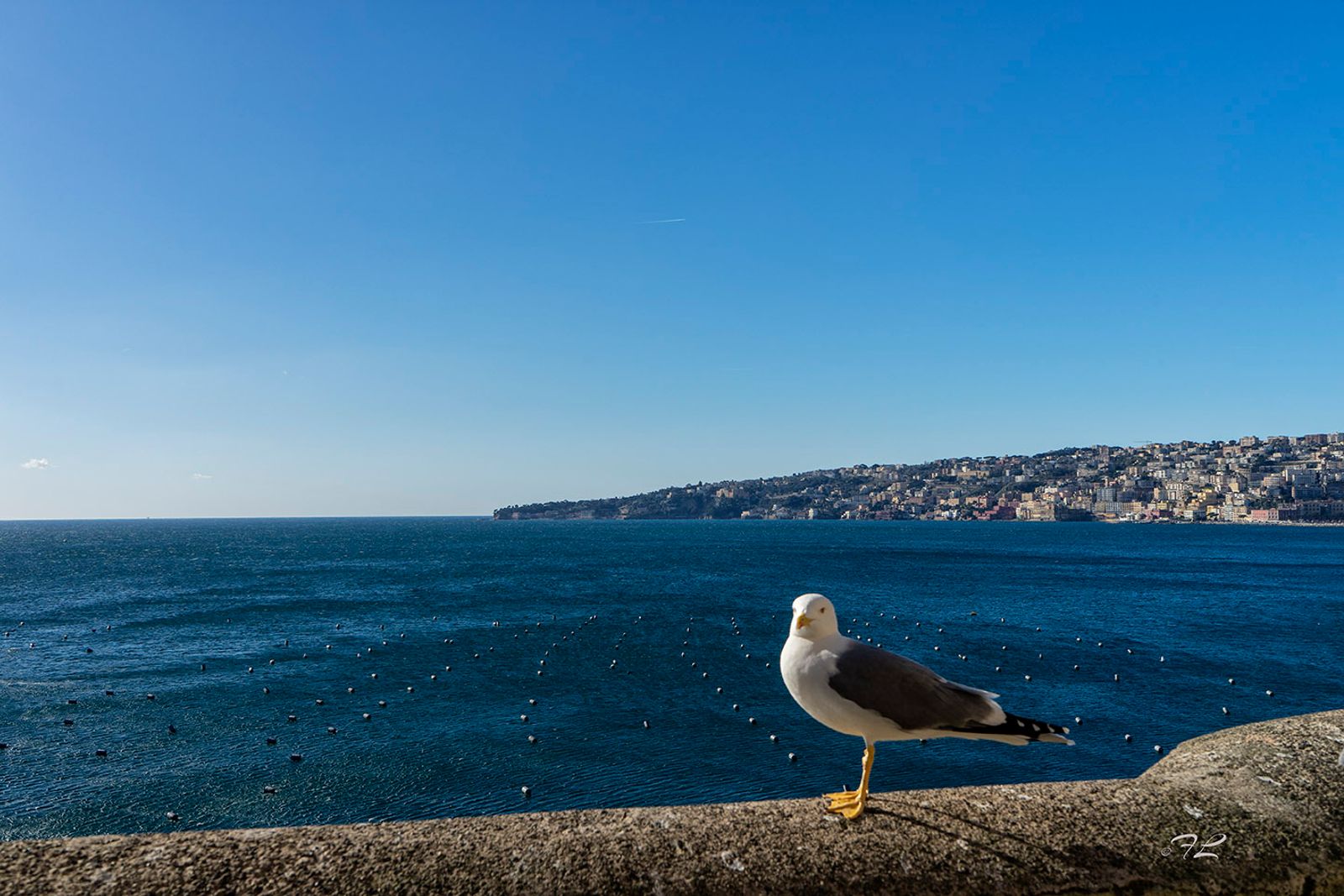 SULLO SFONDO POSILLIPO