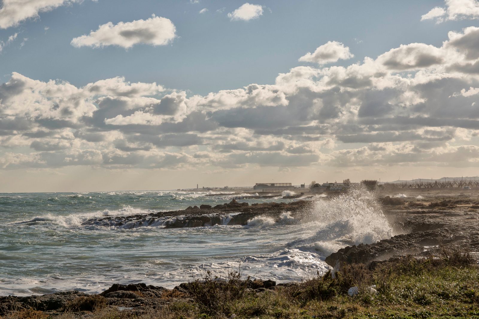 Il maestrale — fotografia 8 di Francesco Loliva