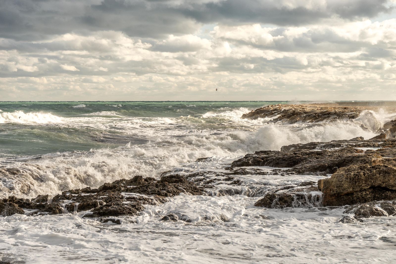 Il maestrale — fotografia 9 di Francesco Loliva