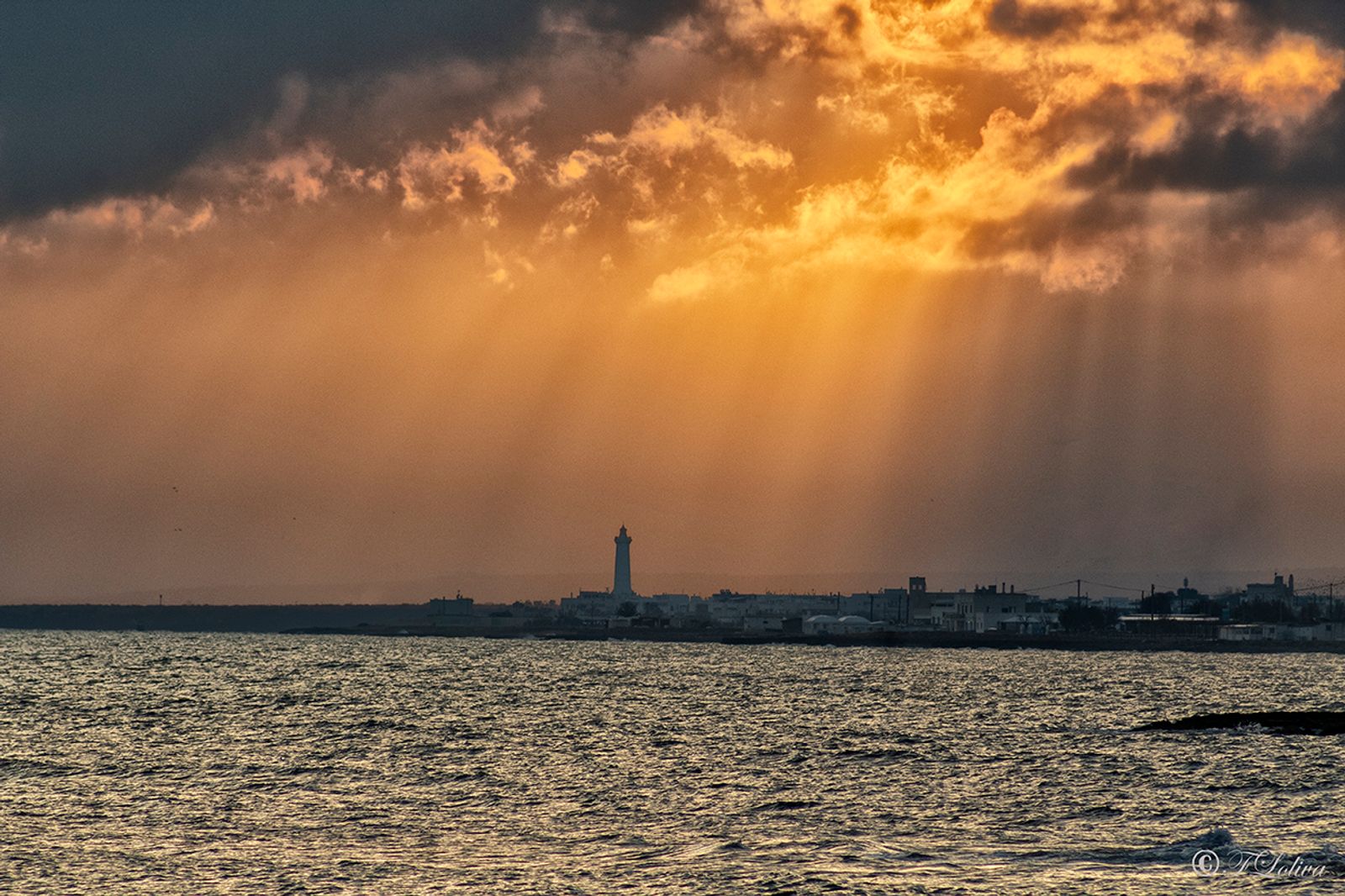 Dopo l'alba — fotografia 5 di Francesco Loliva