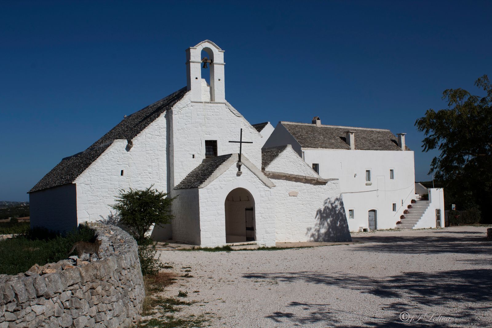 L' architettura di questa chiesa è molto interessante oltre che per le sue origini, anche perché in essa si ravvisano…