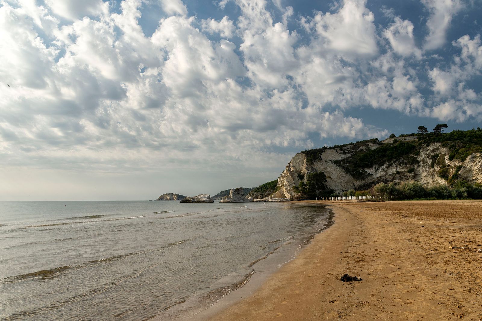 VIESTE