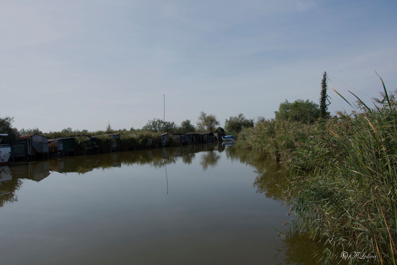 LAGO DI MASSACIUCCOLI — fotografia 13 di Francesco Loliva