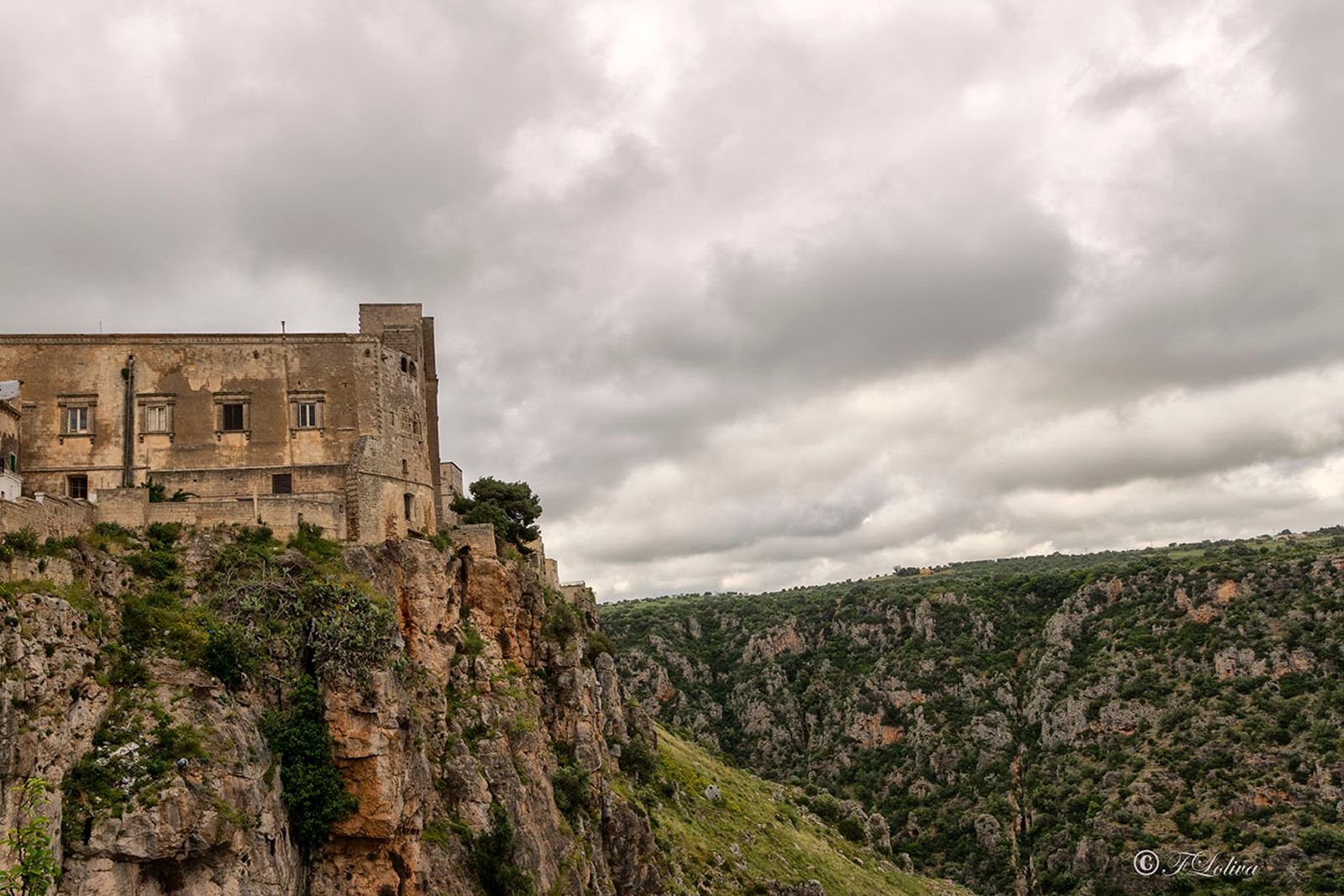 LA GRAVINA DI CASTELLANETA La Gravina di Castellaneta (o Gravina Grande) è una gravina che si estende per una decina di…