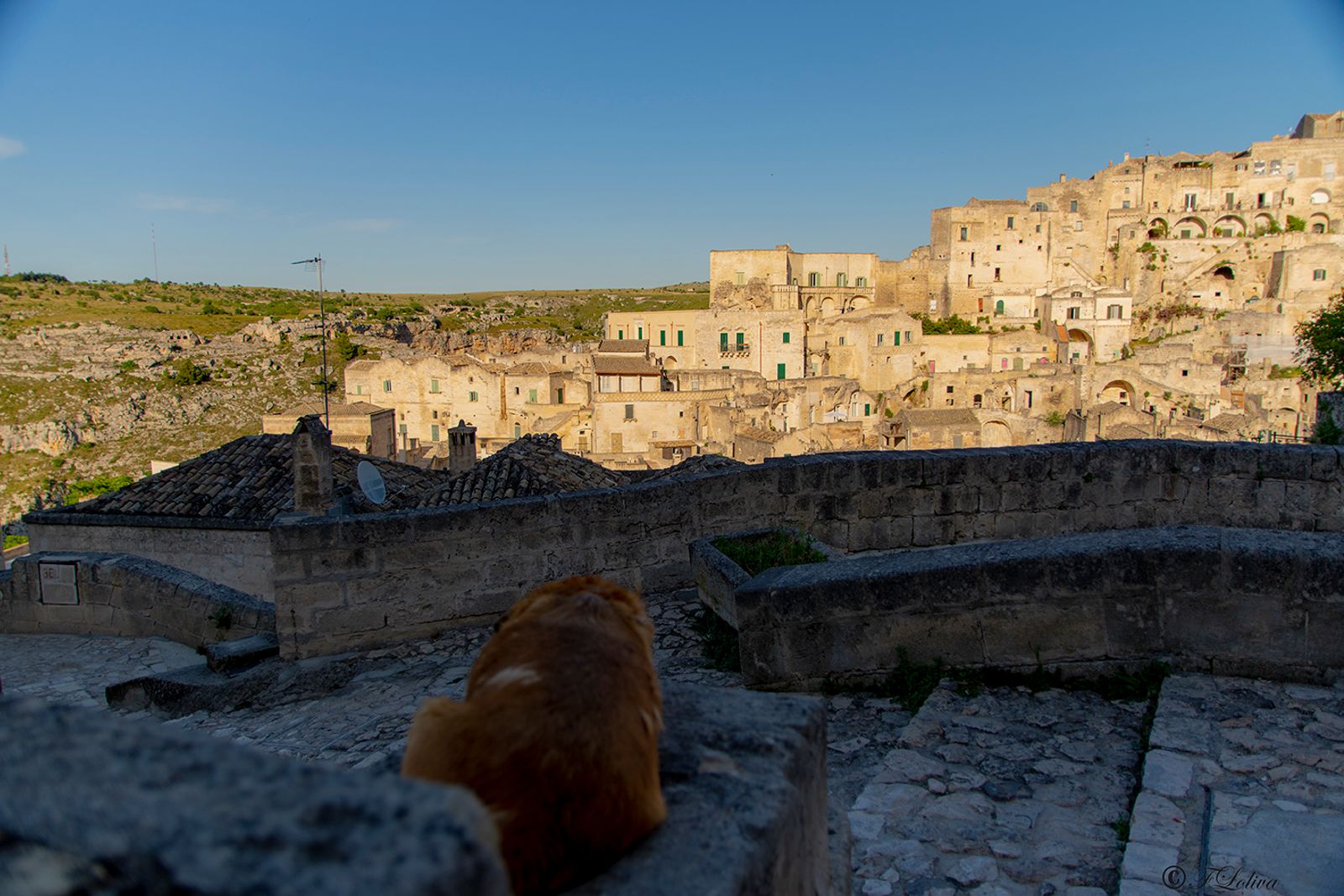 MATERA — fotografia 11 di Francesco Loliva