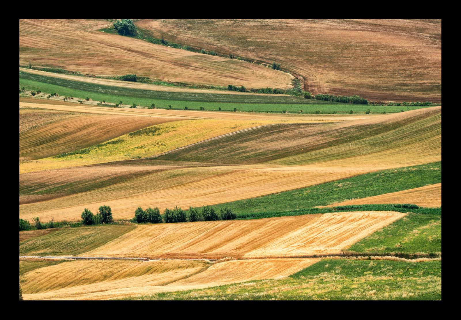 ALTAMURGIA#2