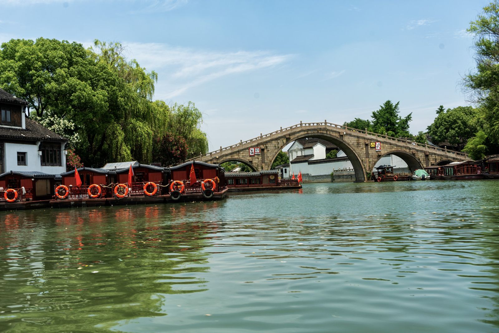 VIAGGIO A SHANGAI 2024 — fotografia 143 di Francesco Loliva