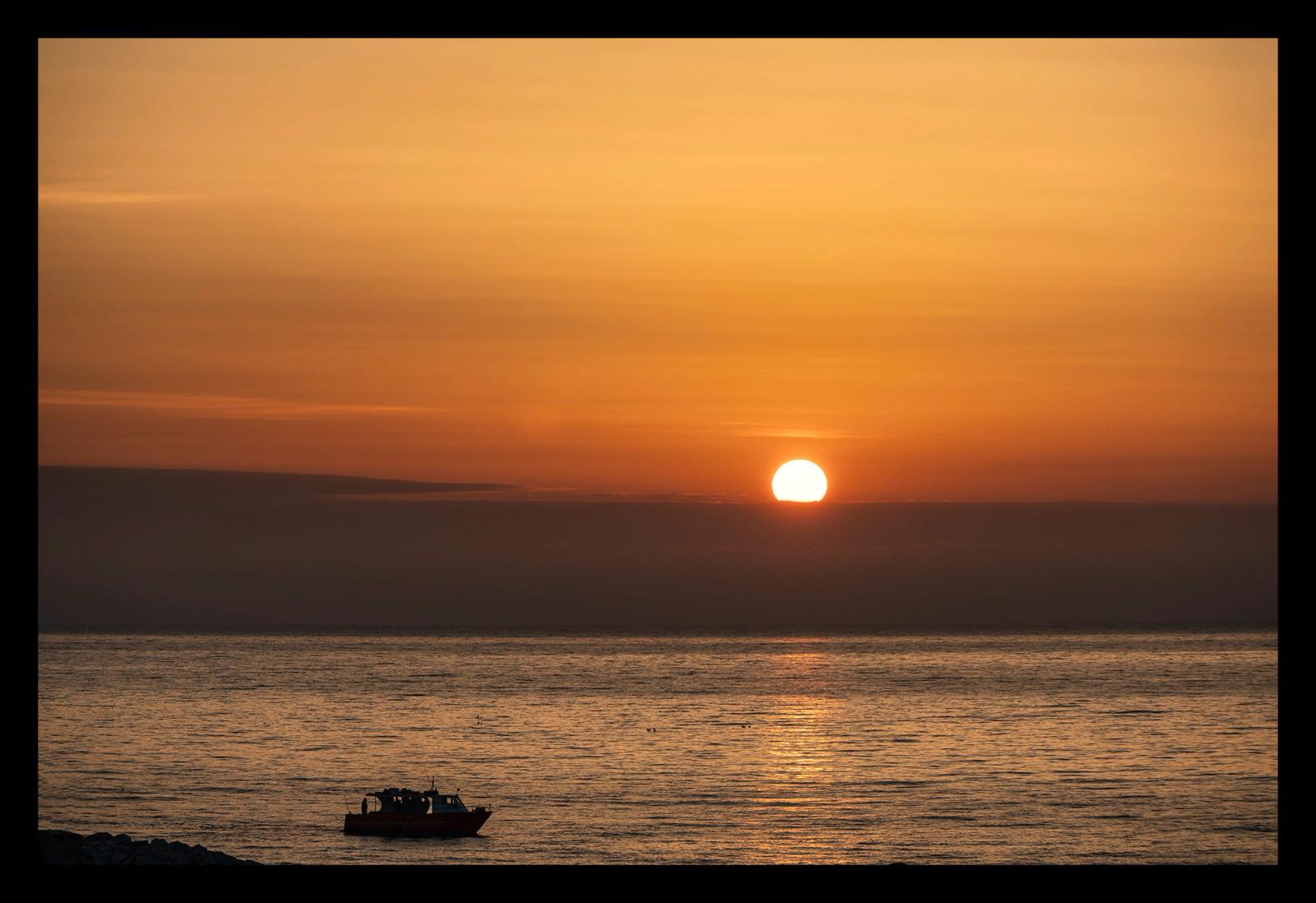 ALBA#6