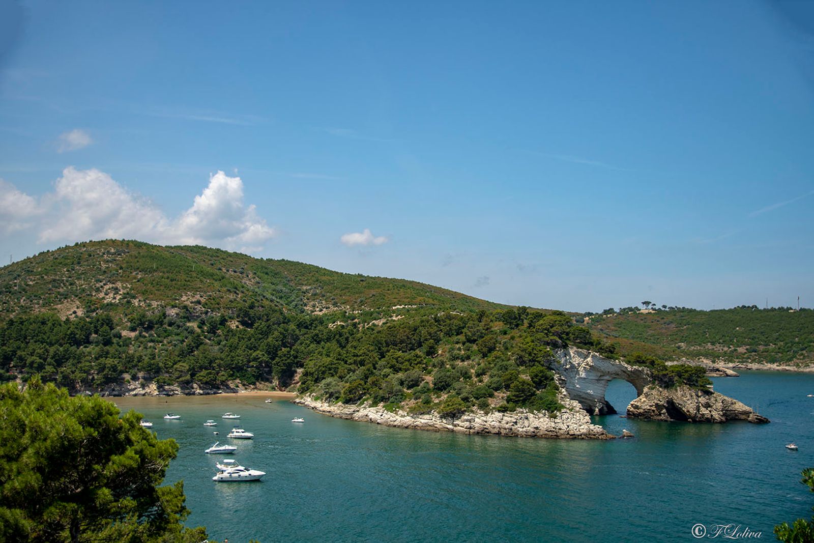 BAIA DI SAN FELICE Piccolo paradiso immerso nel verde, la baia di san felice offre una graziosa spiaggetta (larga circa…