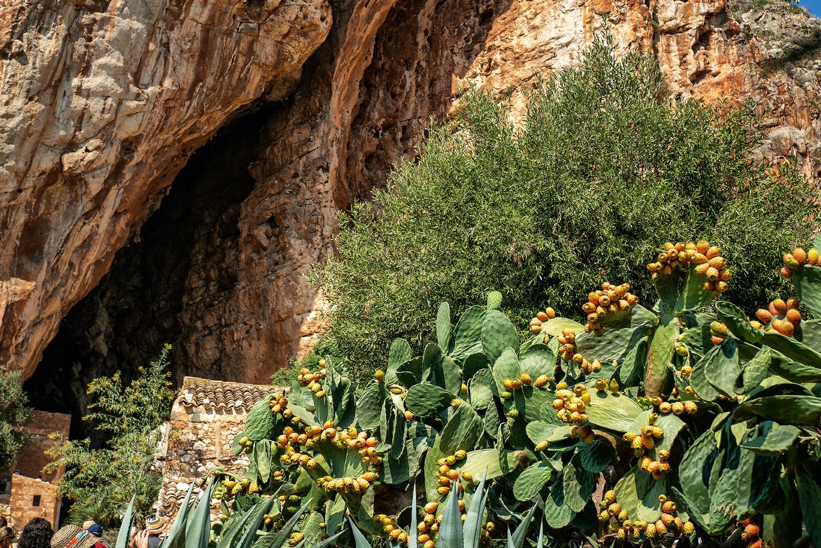 MACARI - GROTTA MANGIAPANE