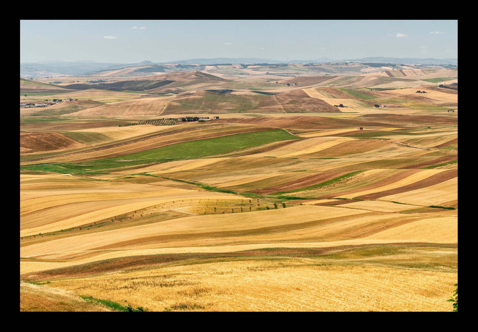 ALTA MURGIA#1