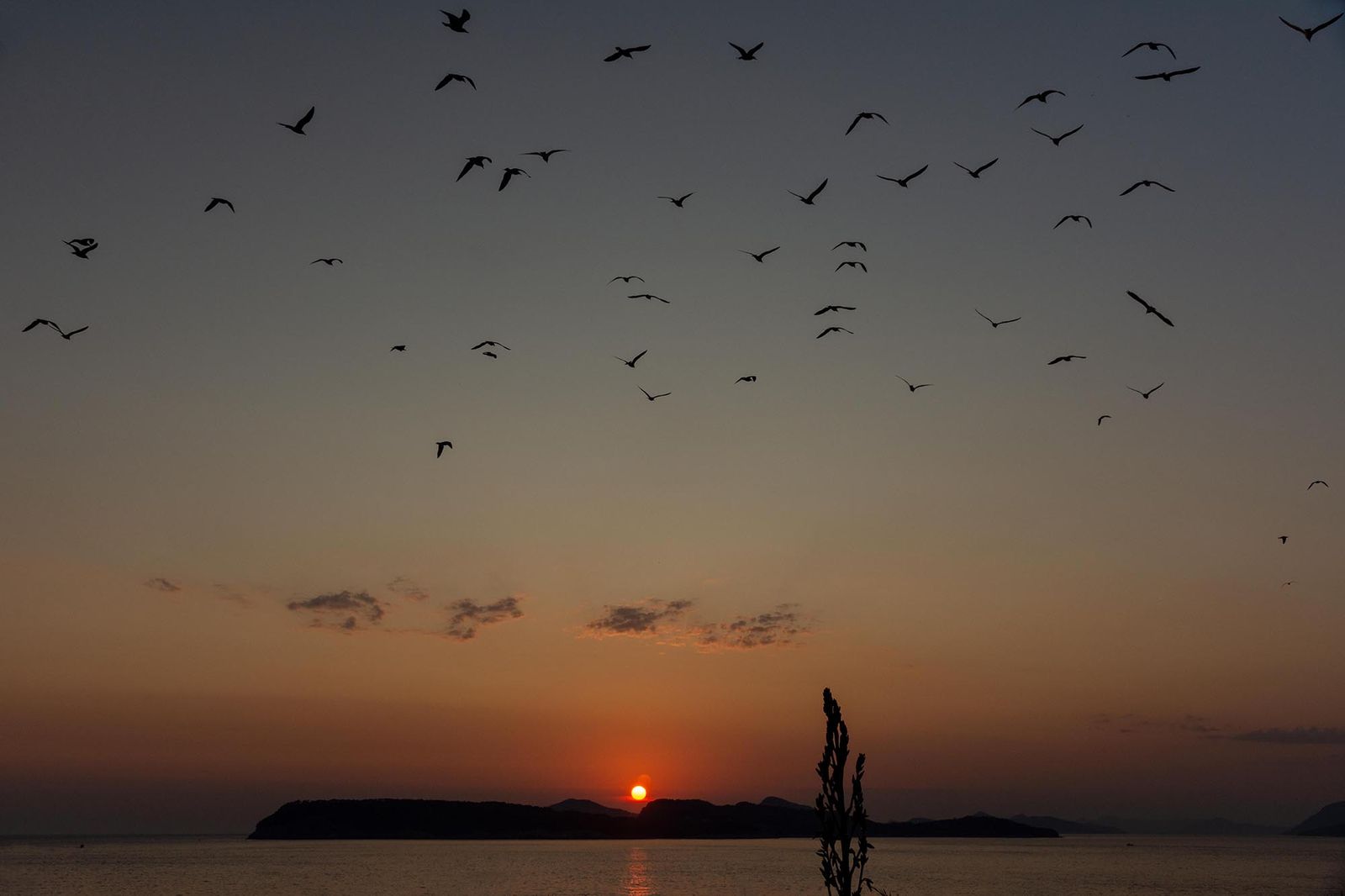 Tramonti croati — fotografia 10 di Francesco Loliva