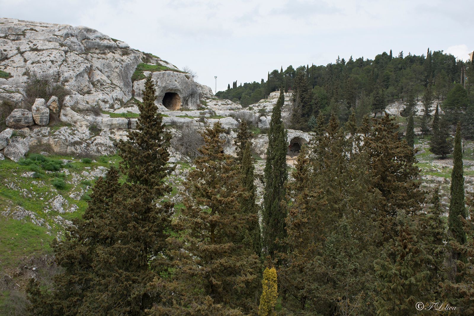 GRAVINA IN PUGLIA — fotografia 18 di Francesco Loliva