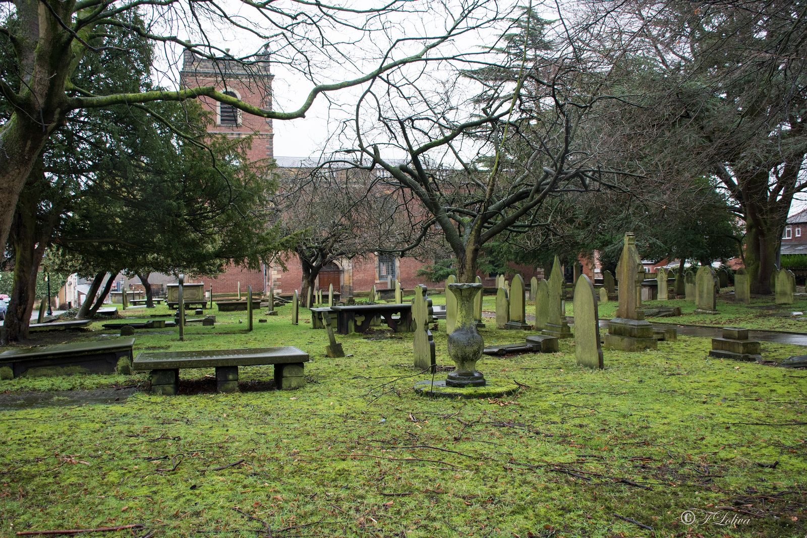 PER LE STRADE DI MANCHESTER — fotografia 14 di Francesco Loliva