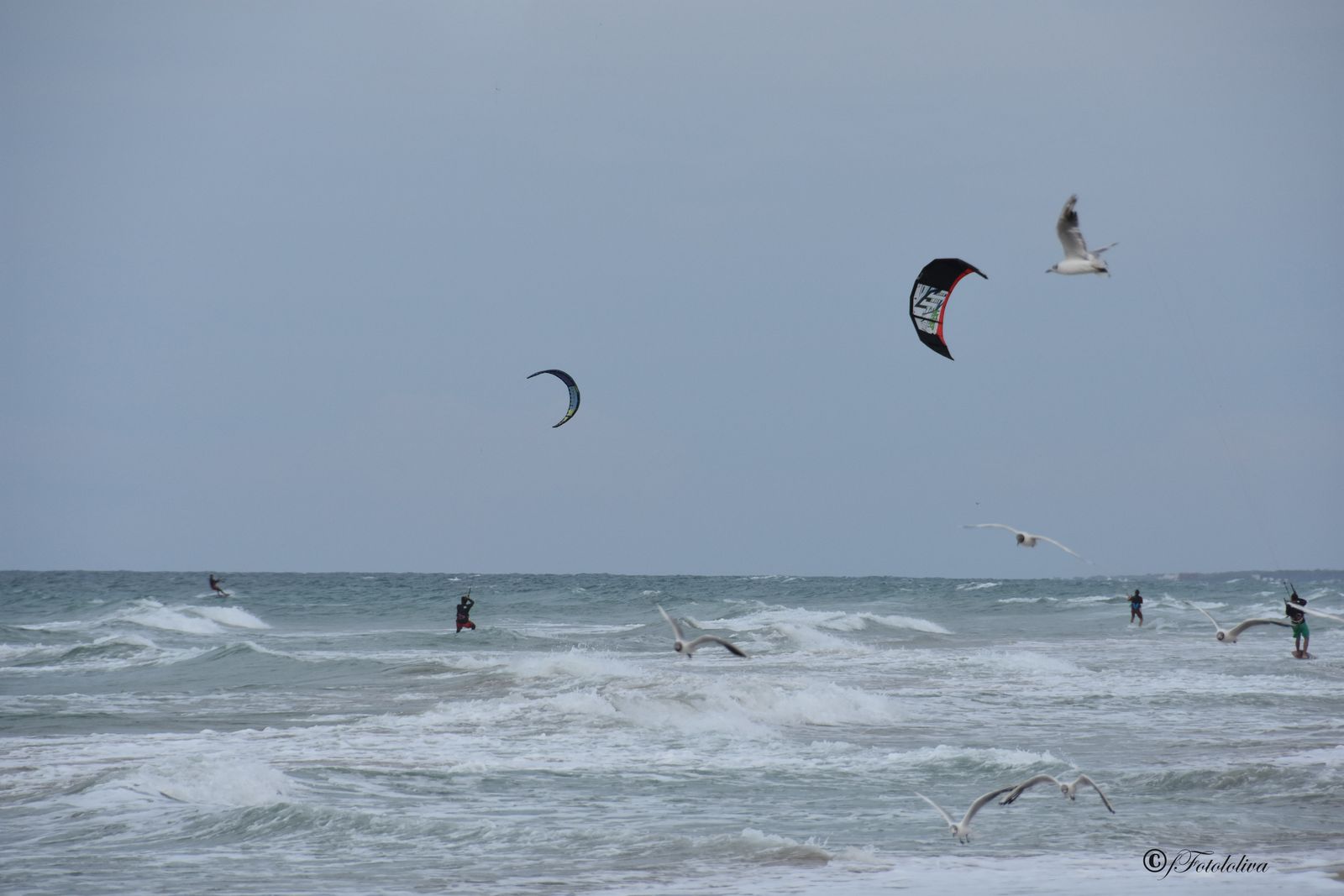 Kitesurf — fotografia 5 di Francesco Loliva