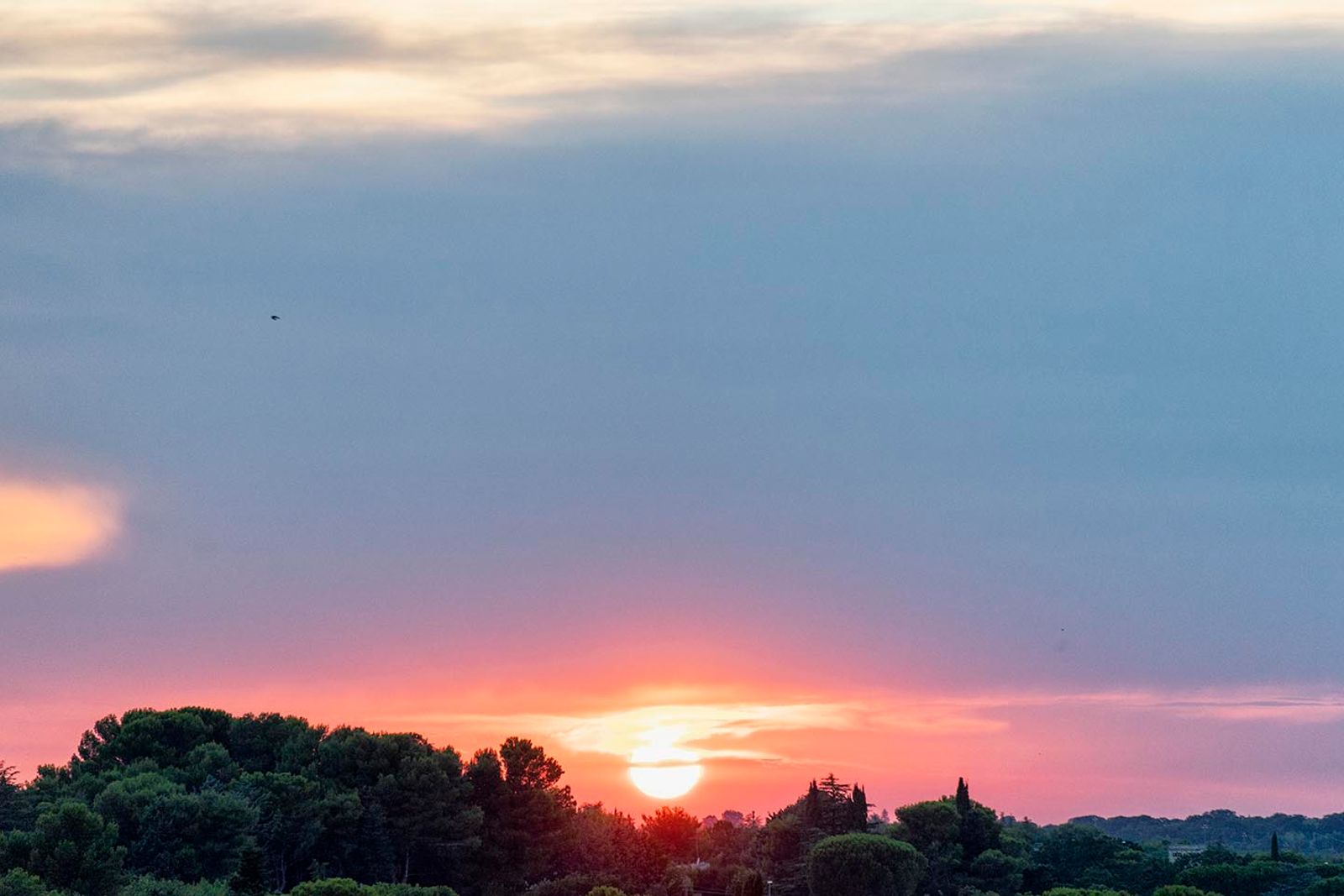 TRAMONTI SILVANI#6