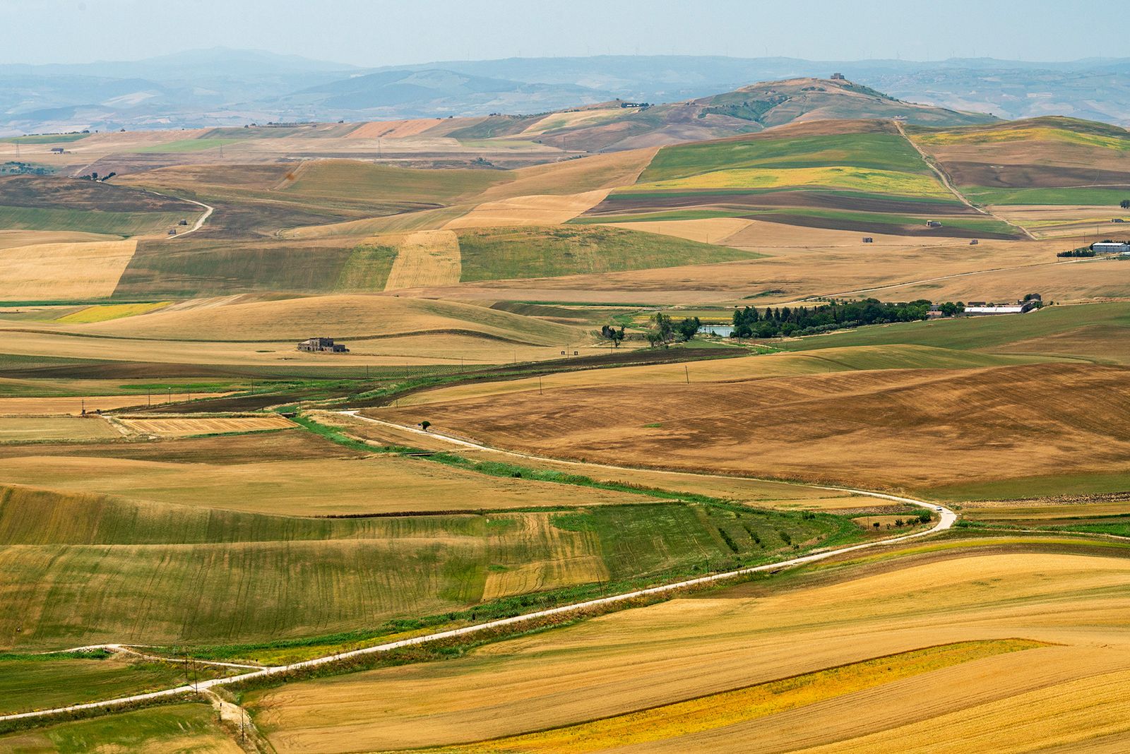 ALTA MURGIA - I COLORI DELLA NATURA IN ESTATE — fotografia 8 di Francesco Loliva