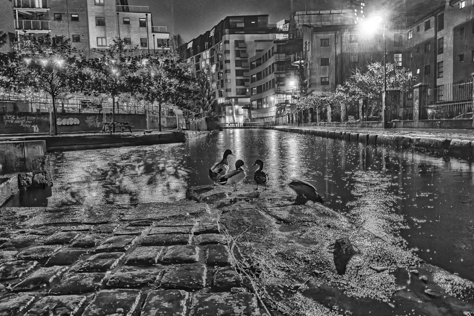 BAGNO DI MEZZANOTTE